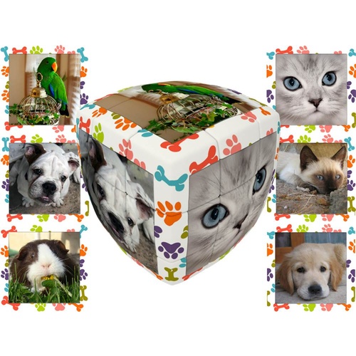 V-Cube Pets 3x3 Pillow (VCU001798)