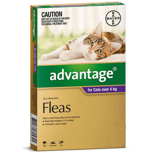Advantage Large Cat 4kg Over Purple Spot On Flea Treatment 4 Pack