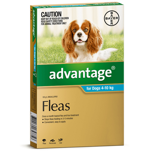 Advantage Medium Dog 4-10kg Teal Spot On Flea Treatment 4 Pack