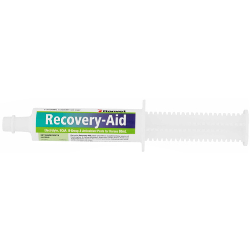 Ranvet Recovery Drench Horses Vitamin Training Aid Paste 80ml
